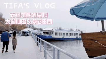 tifas vlog无锡鼋头渚赏樱(三)太湖仙岛月老庙 坐游船上太湖仙岛啦