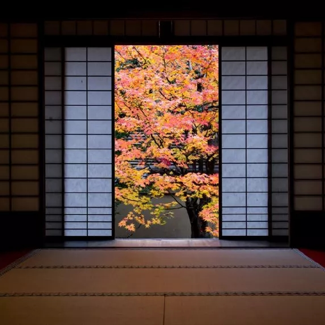 地藏院景点观光攻略 地藏院地址 地藏院门票查询预订 穷游网移动版