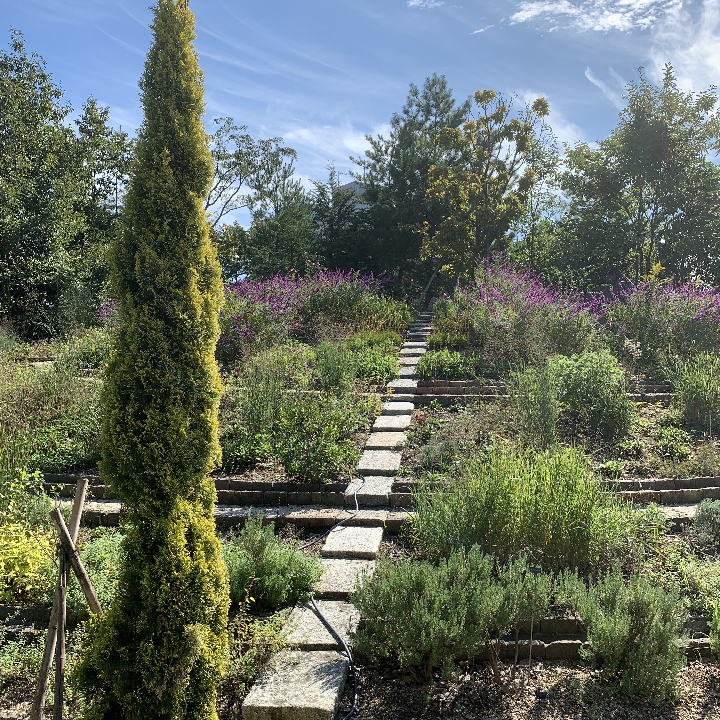 21年泉大津市旅游攻略 7月泉大津市自由行 周边游攻略 泉大津市自助游旅行指南 穷游网