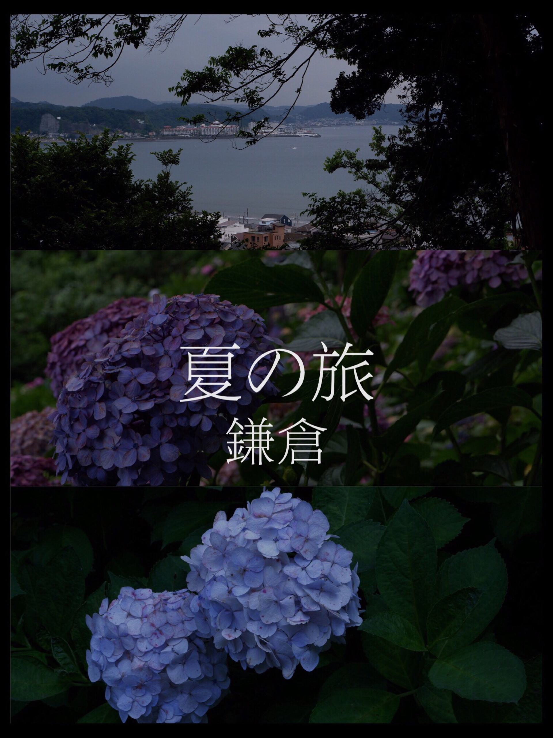 梅雨季的东京 日本 论坛 穷游网