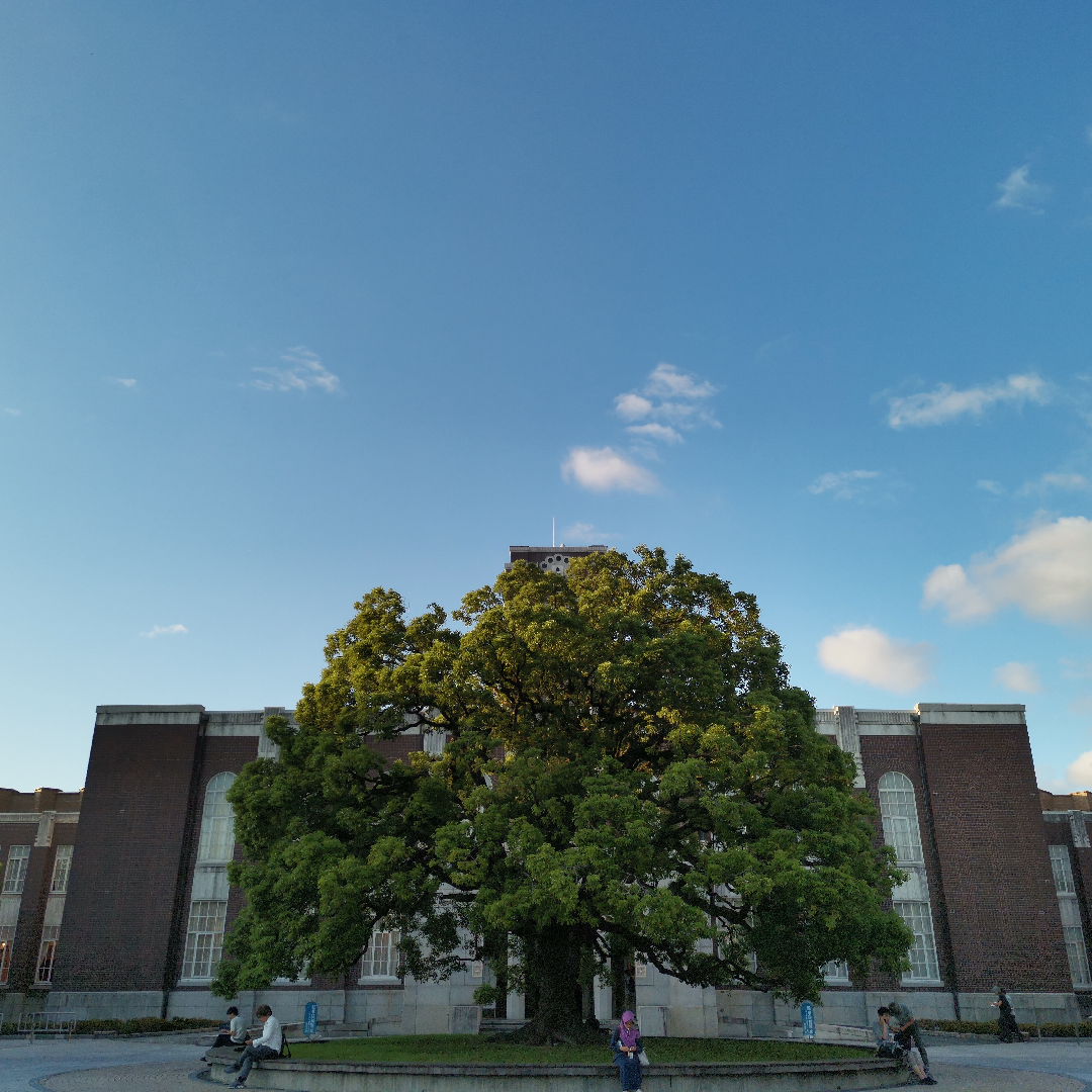 京都大学旅游图片京都大学旅游景点图片京都大学自助游照片 穷游网 移动版