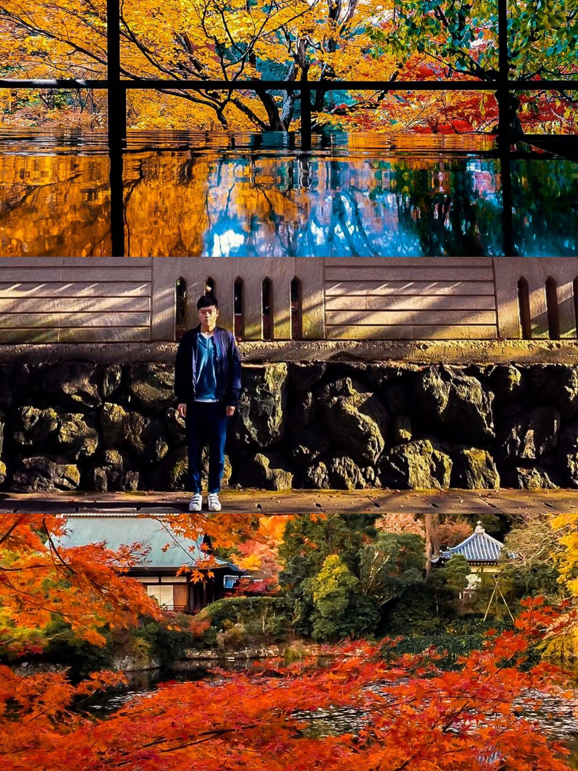 龙安寺景点观光攻略 龙安寺地址 龙安寺门票查询预订 穷游网移动版
