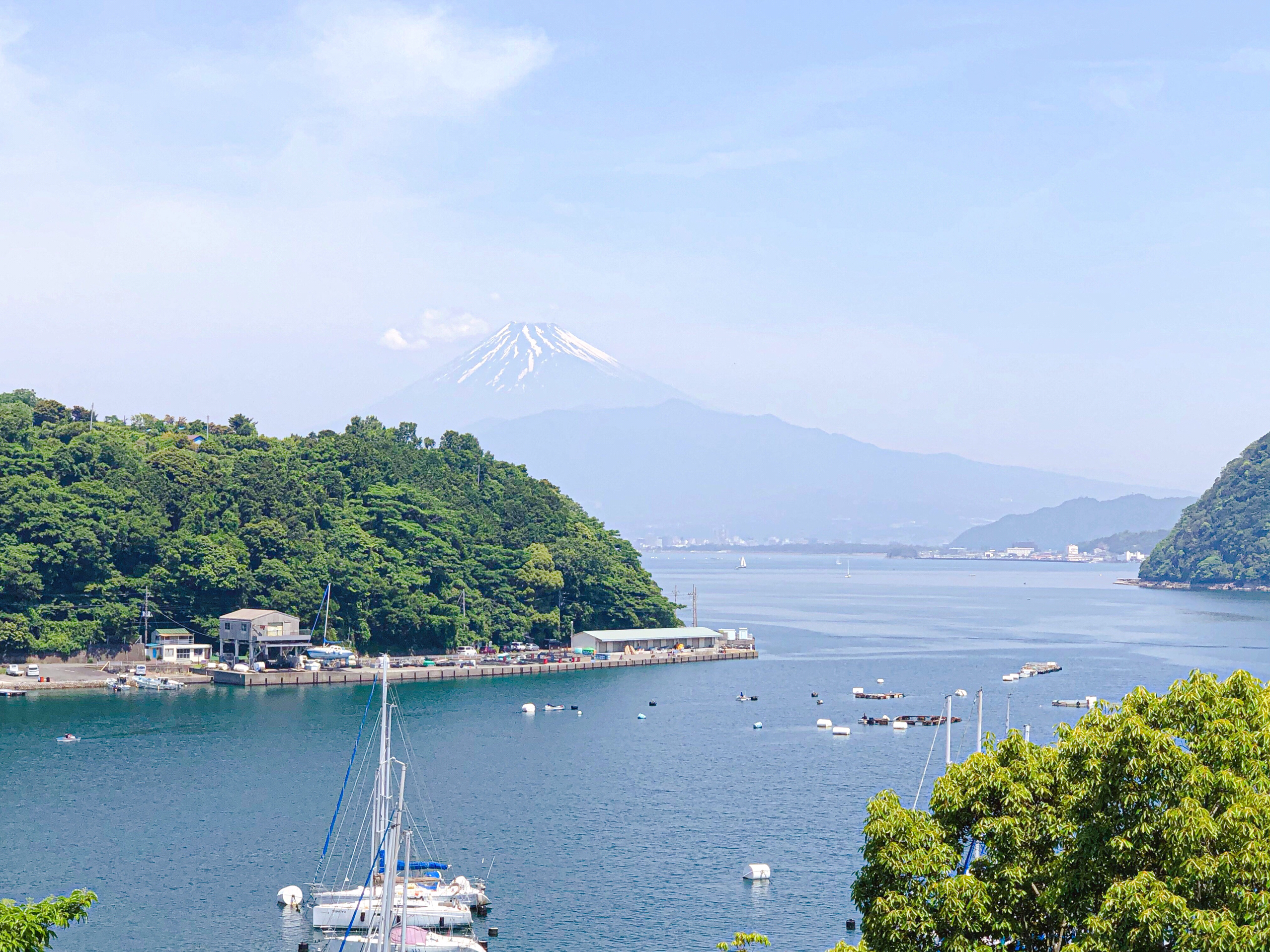 21年伊豆半岛旅游攻略 6月伊豆半岛自由行 周边游攻略 伊豆半岛自助游旅行指南 穷游网