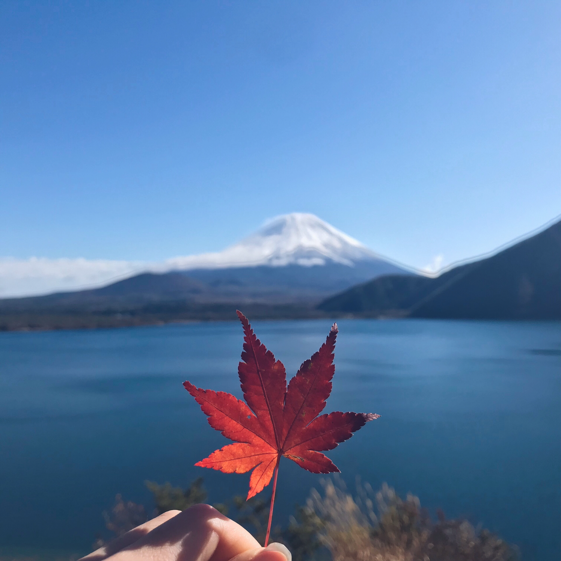 本栖湖景点观光攻略 本栖湖地址 本栖湖门票查询预订 穷游网移动版