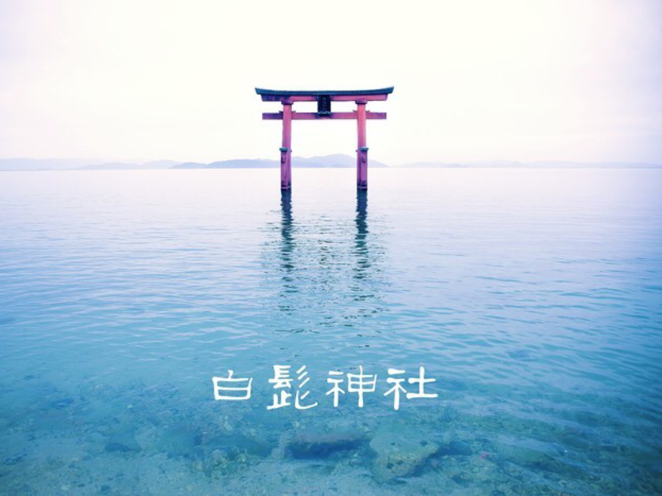 白须神社景点观光攻略 白须神社地址 白须神社门票查询预订 穷游网移动版