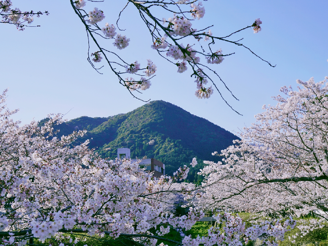 21年山口市旅游攻略 5月山口市自由行 周边游攻略 山口市自助游旅行指南 穷游网