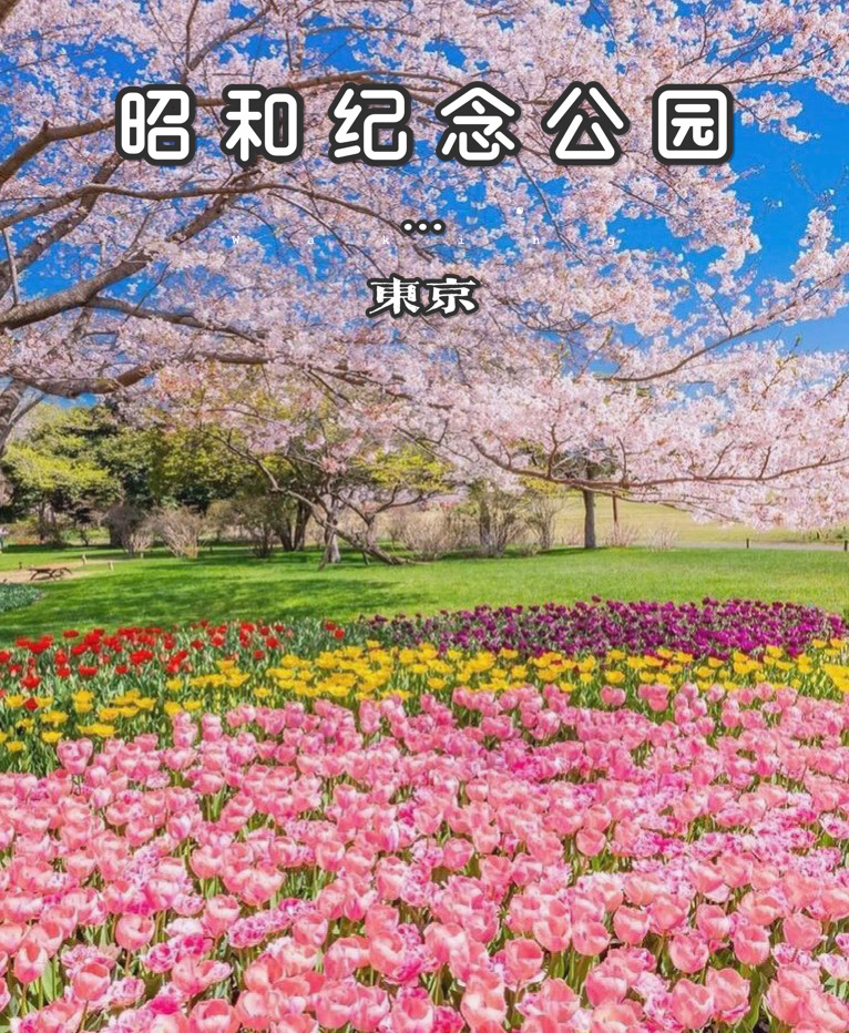 21年立川市旅游攻略 7月立川市自由行 周边游攻略 立川市自助游旅行指南 穷游网