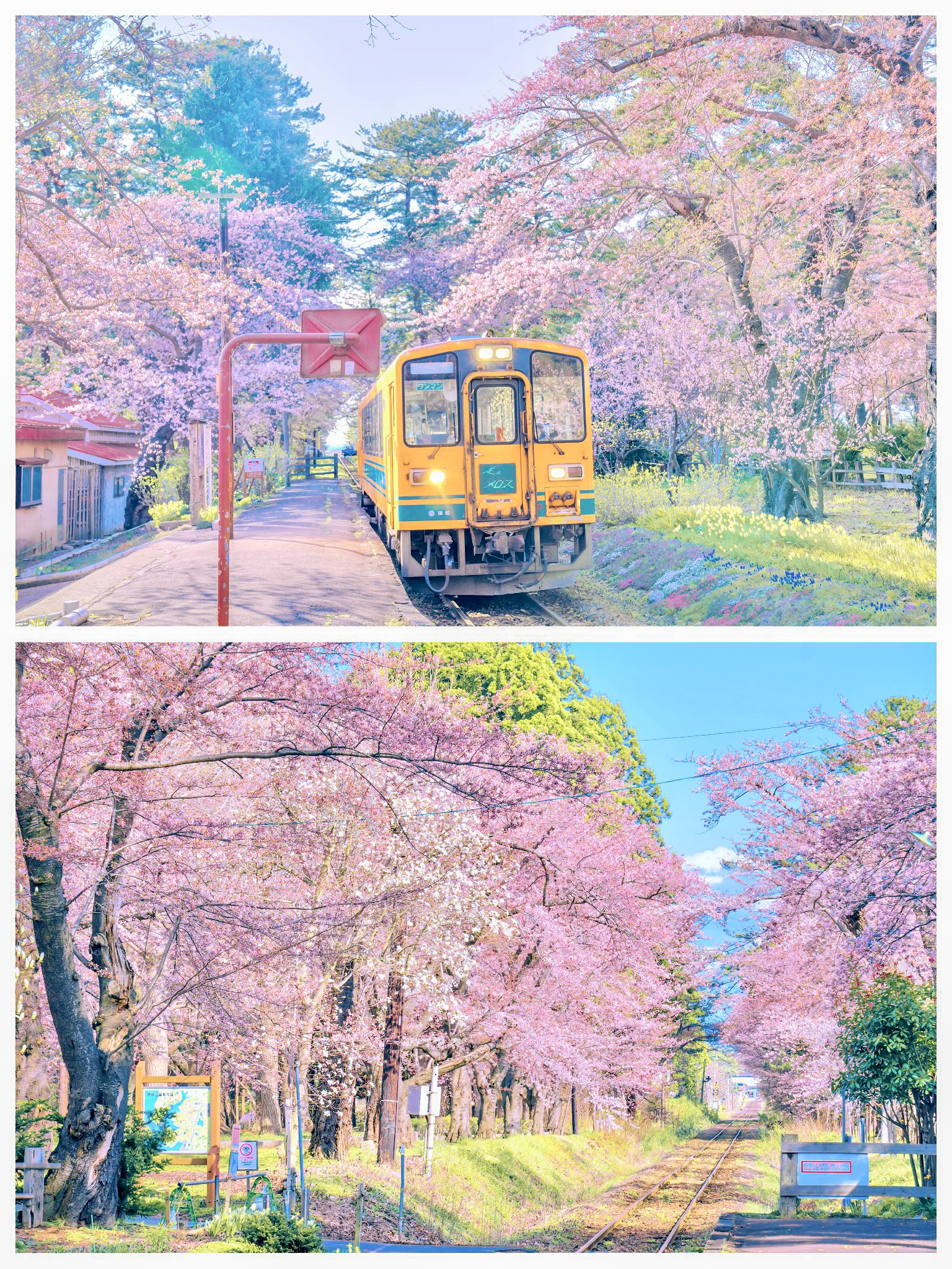 21年岩手县旅游攻略 4月岩手县自由行 周边游攻略 岩手县自助游旅行指南 穷游网