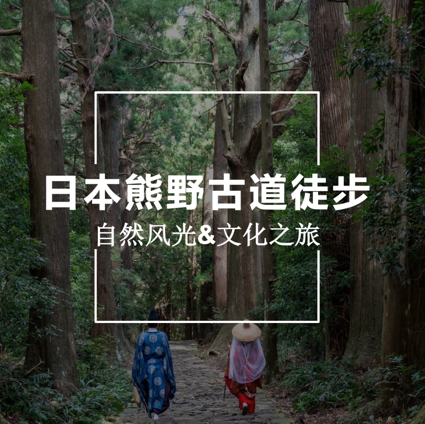 熊野古道游览线路攻略 熊野古道地址 熊野古道门票查询预订 穷游网移动版