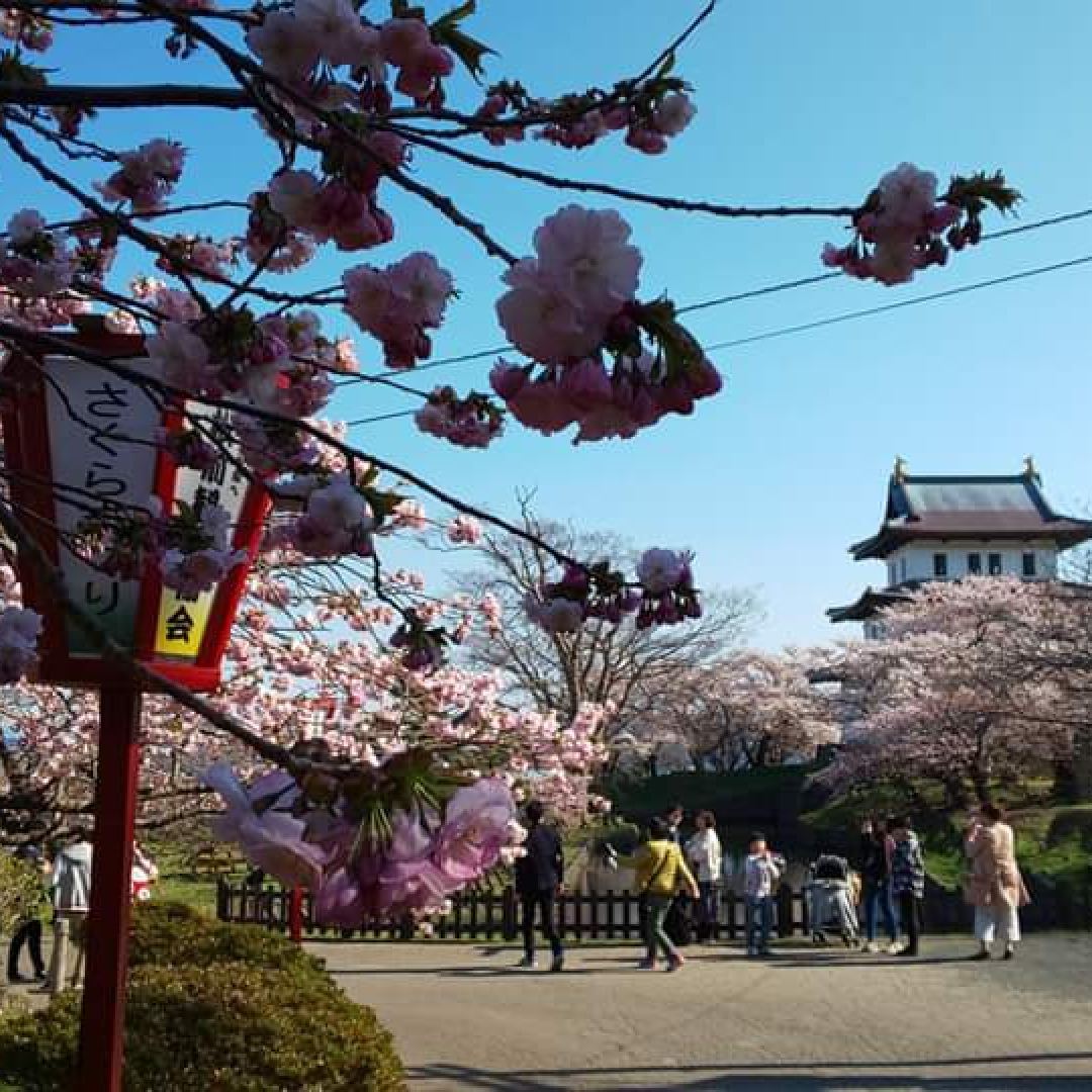 城崎旅游攻略 雨天的伊东城崎海岸没看到日落 穷游网