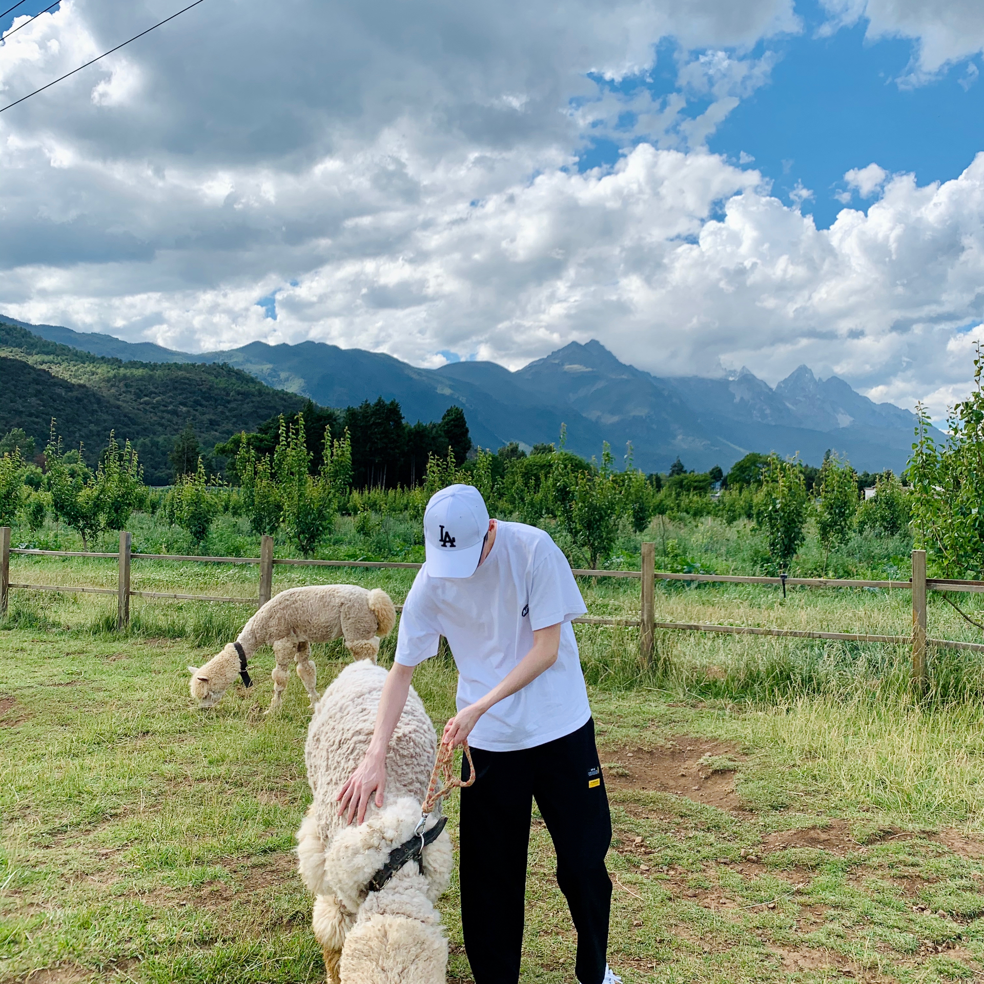 年埃伦豪森旅游攻略 11月埃伦豪森自由行 周边游攻略 埃伦豪森自助游旅行指南 穷游网