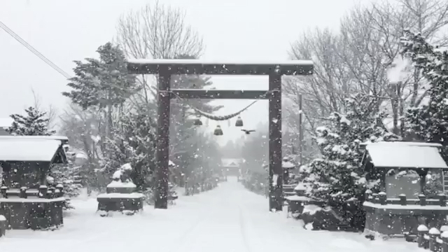 北海道旅游攻略 北海道雪季北海道 穷游网